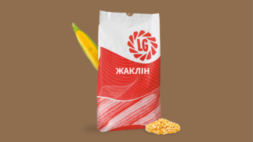 ЖАКЛІН