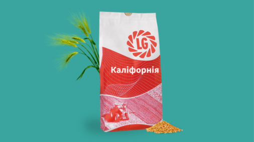 Каліфорнія