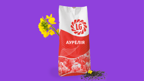 АУРЕЛІЯ