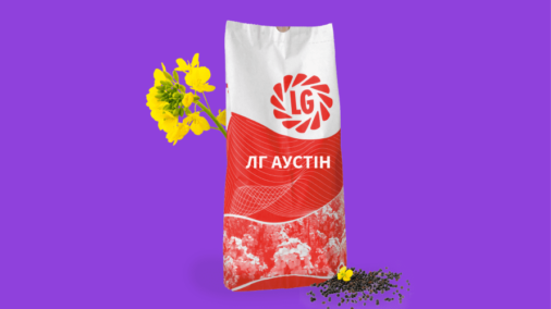 ЛГ АУСТІН