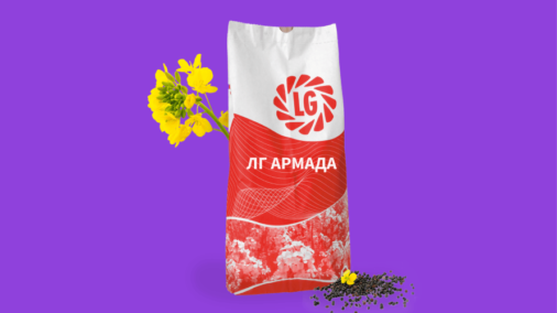 ЛГ АРМАДА