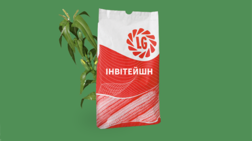 Інвітейшн